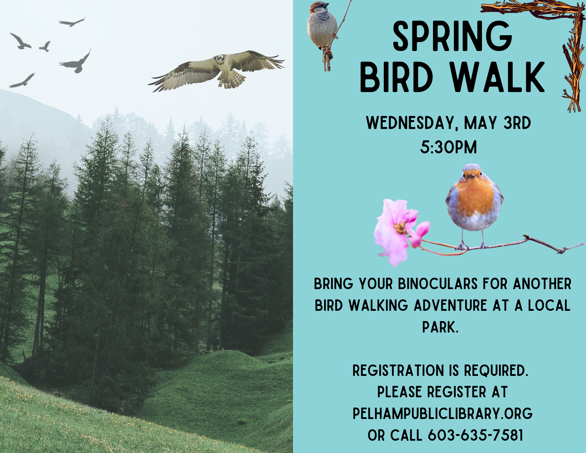Spring Bird Walk, Wednesday, May 3rd 5:30pm