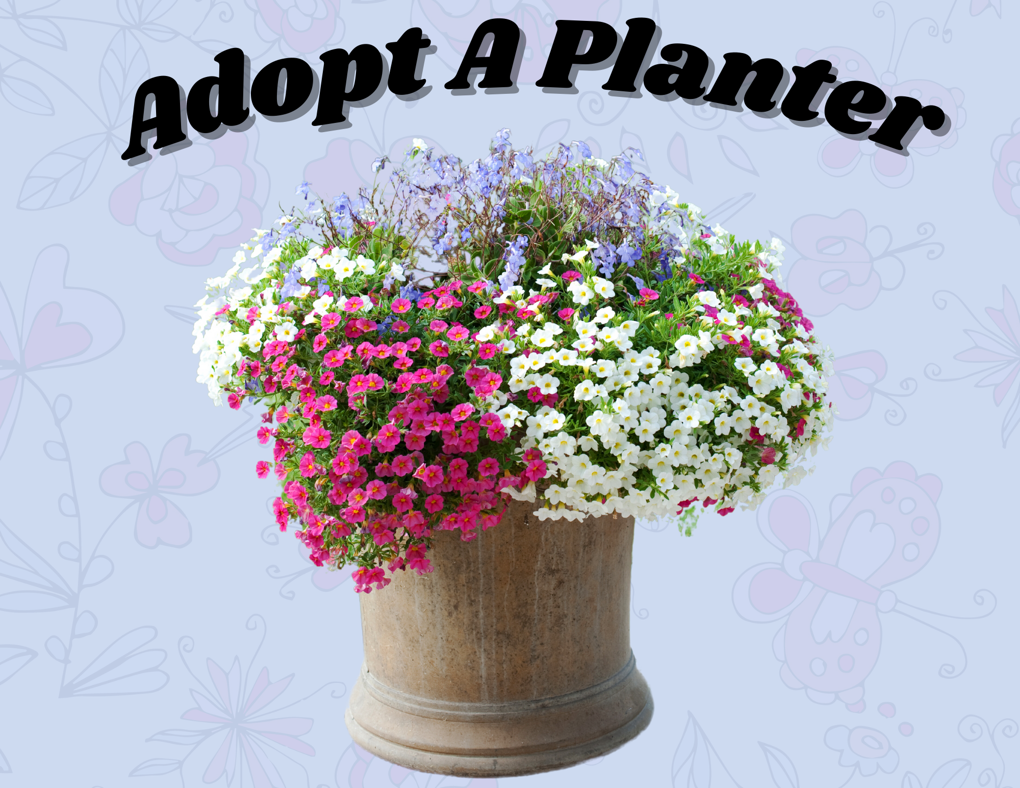 adopt a planter