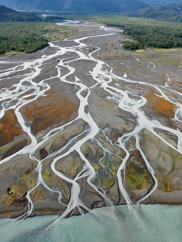 estuaries