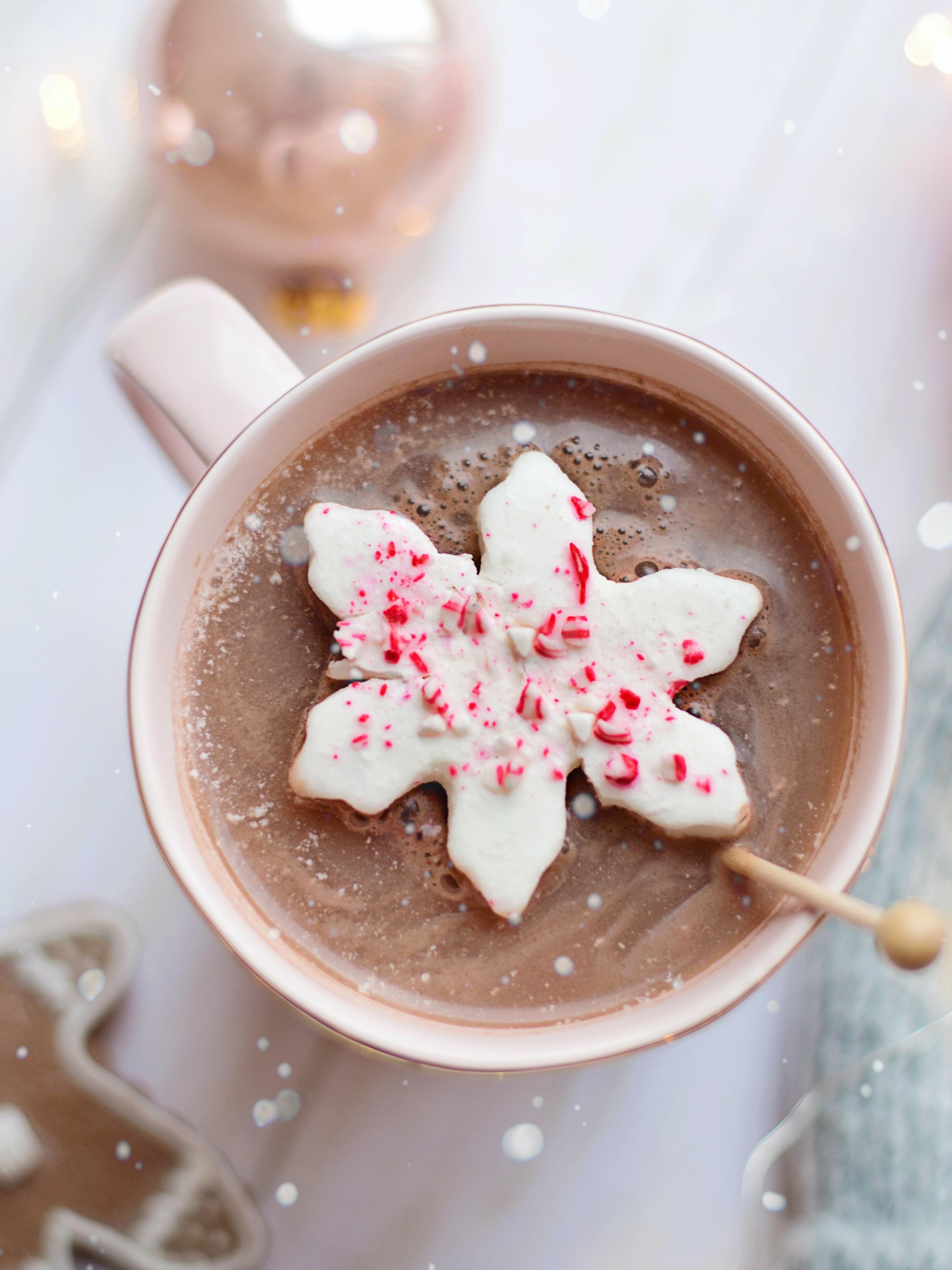 hot cocoa and cookies