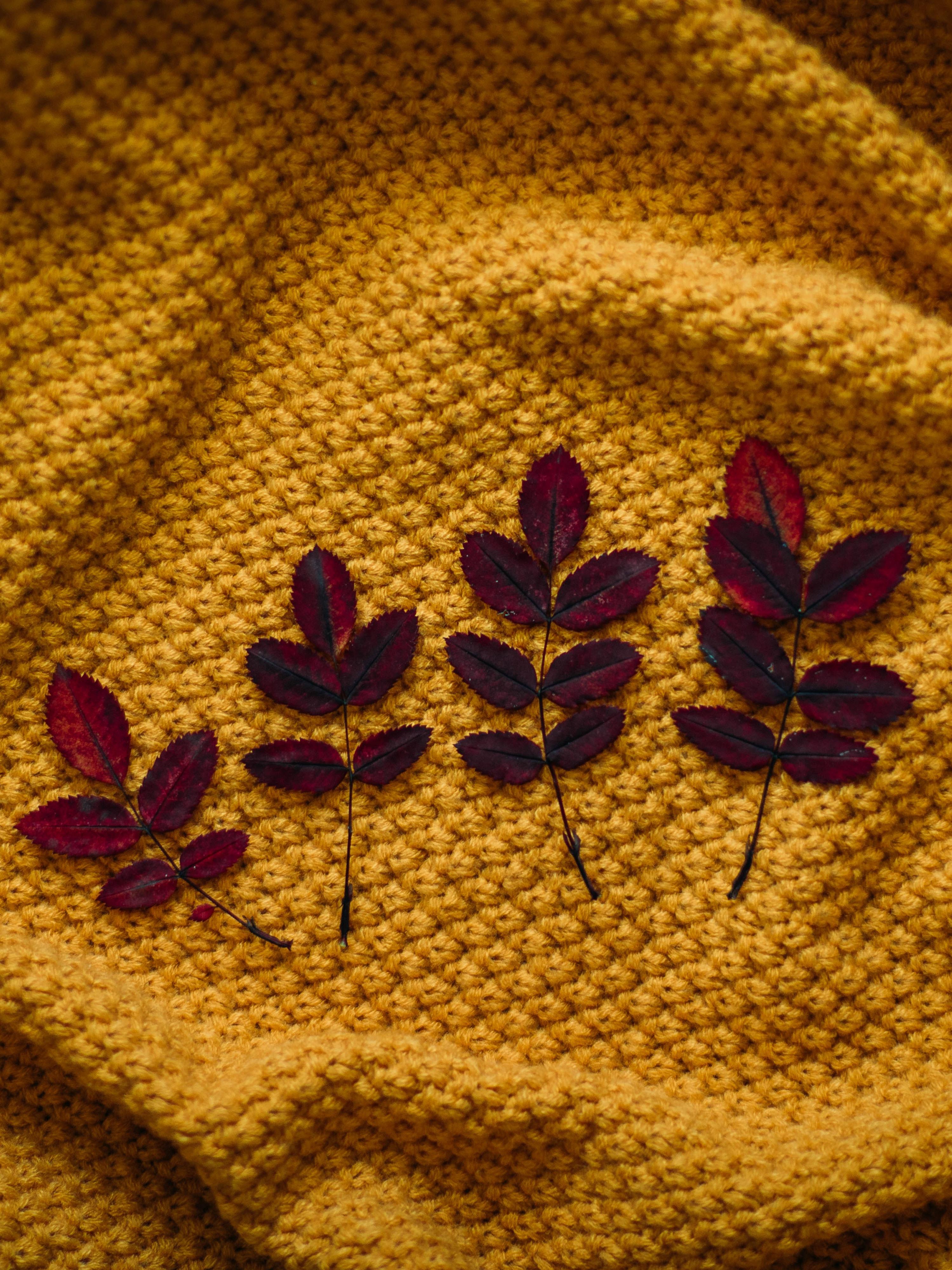 leaves on a blanket