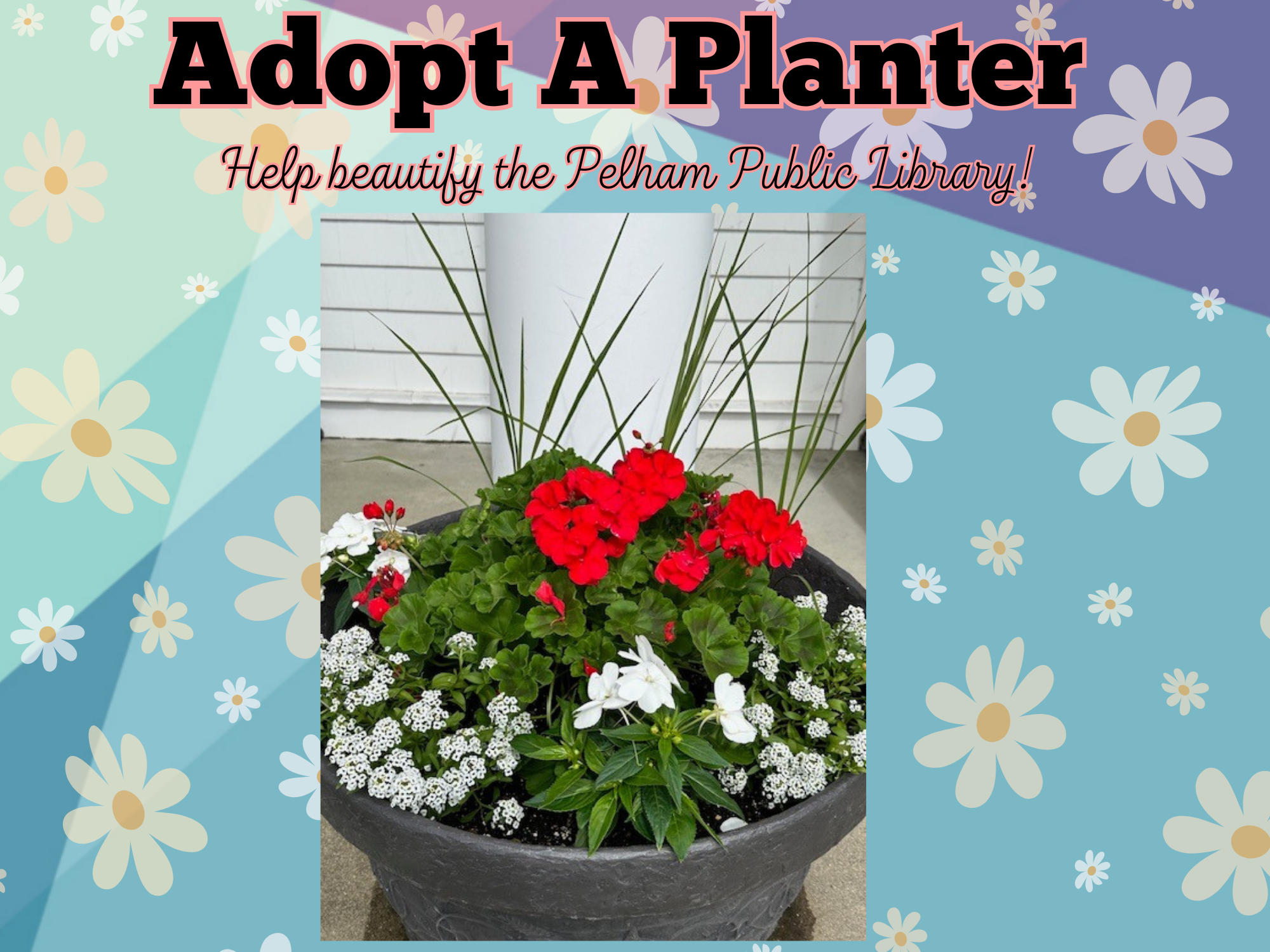 adopt a planter
