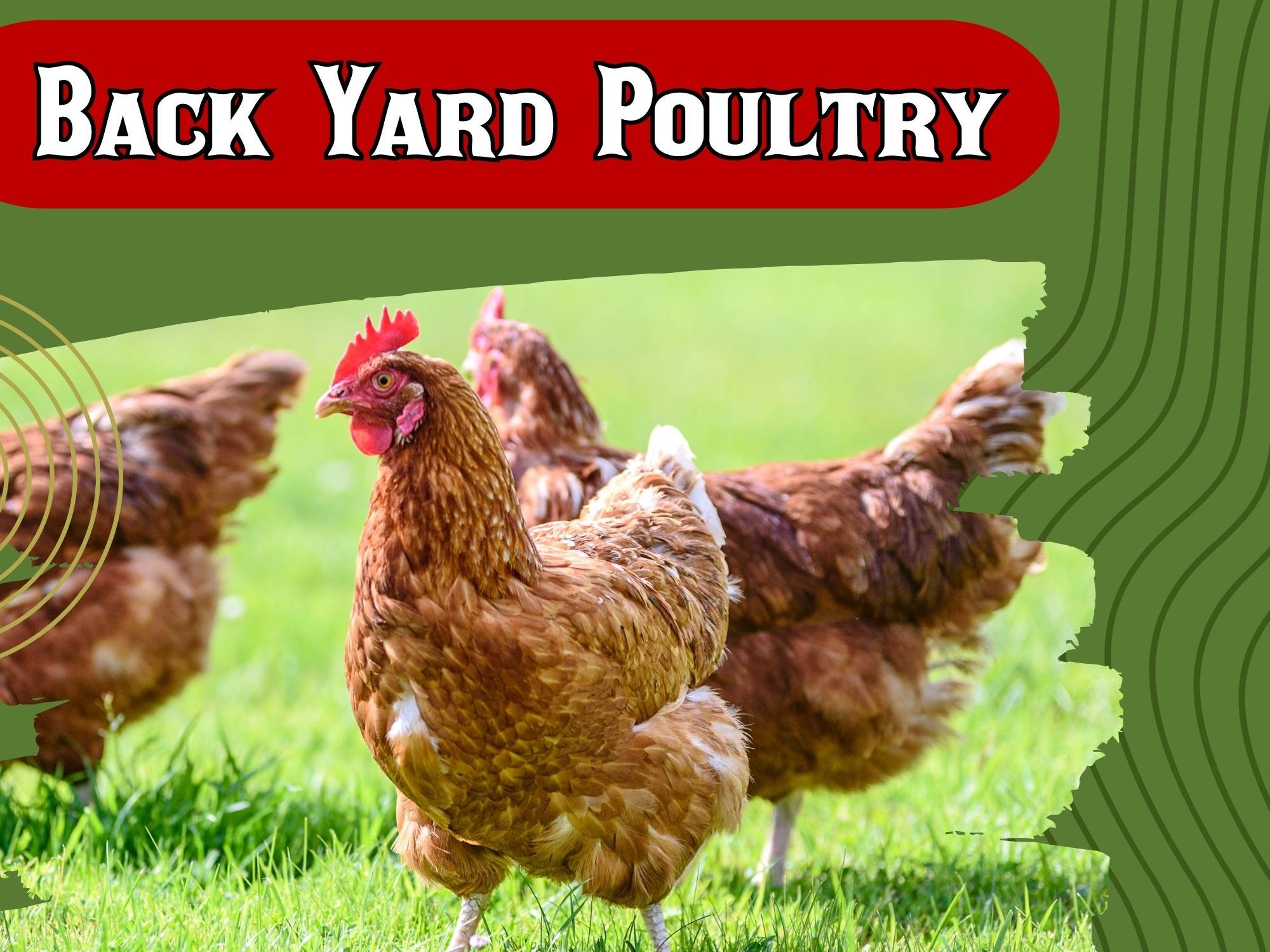 Thursday, April 30th, 6:30pm